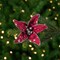 Northlight Starburst Flower Glittered Clip-on Christmas Ornament - 6" - Red and Silver